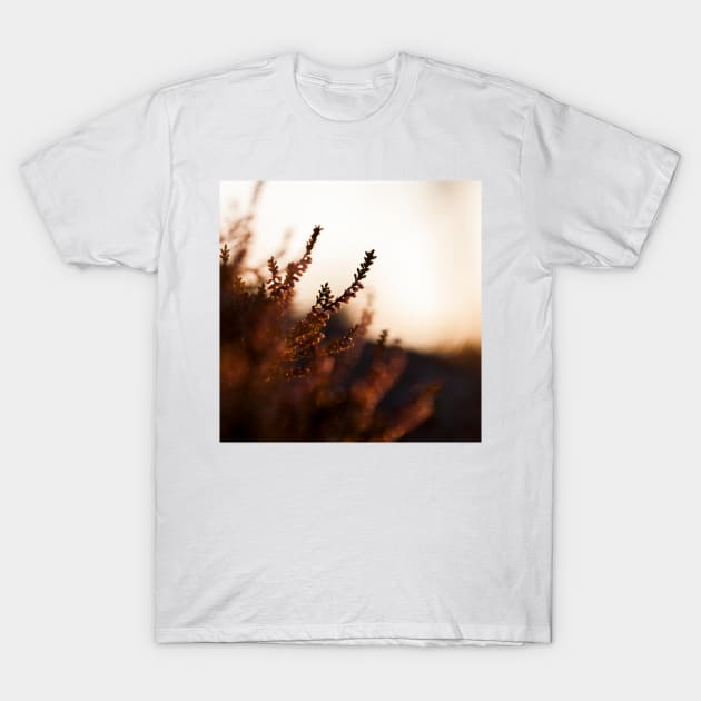 Calluna T-Shirt by ansaharju